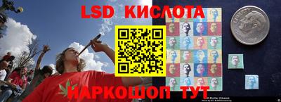 шишки Северобайкальск
