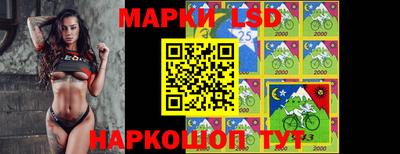 спиды Сланцы