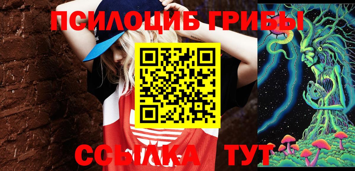 Псилоцибиновые грибы GOLDEN TEACHER Солнечногорск