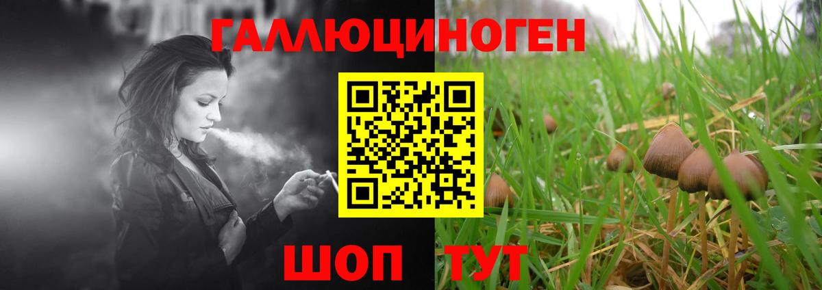 Псилоцибиновые грибы ЛСД  Вход с VPN  Псилоцибиновые грибы Magic Shrooms  Солнечногорск 